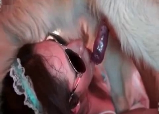 Tender chick gets her twat licked by a hound