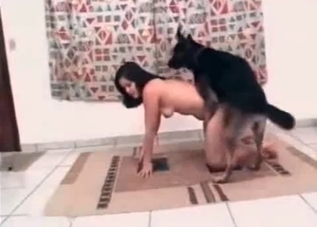 Juicy pervert is having a sex with a hound