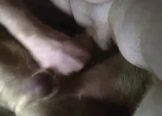 My doggy really likes cock stimulation