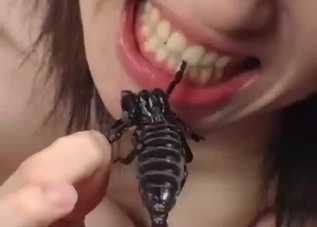 A cute Asian girl is eating tasty worms on the camera