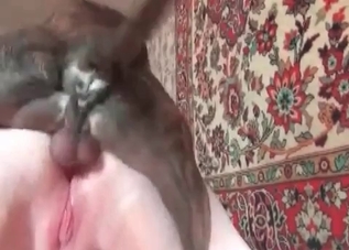 Nice and brutal bestiality sex with a sweet dog