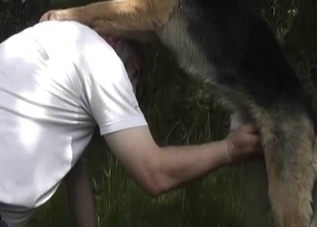 Nice shepherd pounds his lovely owner