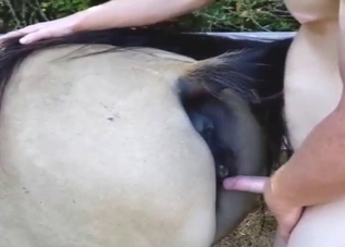 Fun outside with a sexy cow that takes it