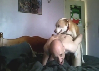 Pitbull fucking this sorry-ass dude real hard