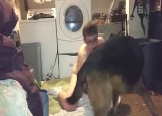 Zoo porn shows a guy who sucks off a dog