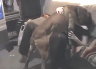 Cunnilingus zoo sex with a dog-loving MILF