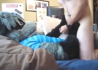 Steamy gay anal with a horny raccoon furry