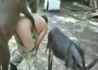 Lovely zoo porn with a sexy animal's HUGE dick