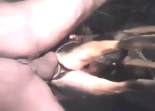 Zoo sex shows a guy fucking loose dog cunt