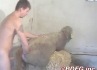 Sexy animal loving with a guy and a sheep