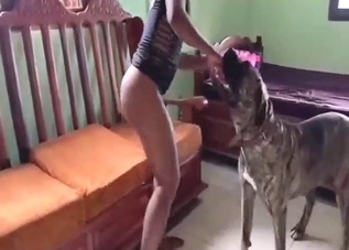 Firm ass lady gets dicked by a sexy beast