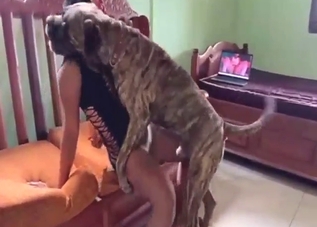 Firm ass lady gets dicked by a sexy beast