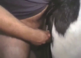 Zoo XXX with a guy who fucks a slutty mare