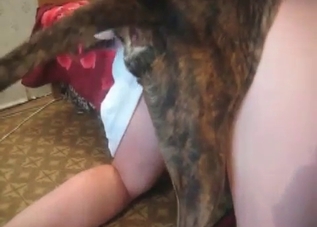 She is making her puppy lick her cunt