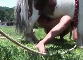 Little horse is punishing a slut