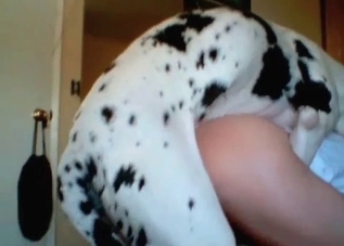 Huge hound loves being banged from behind