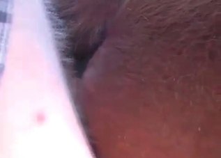 Ass fucking is what this pet needs