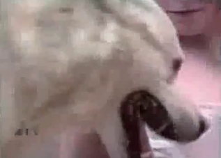 Sweet woman can't stop fucking with a skillful dog
