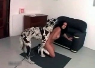 Dark-haired chick is playing with her doggy