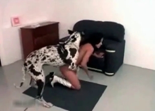 Dark-haired chick is playing with her doggy