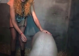 Dirty pig is happy to be fucked so hard