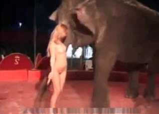 Ginger slut is fucking with an elephant